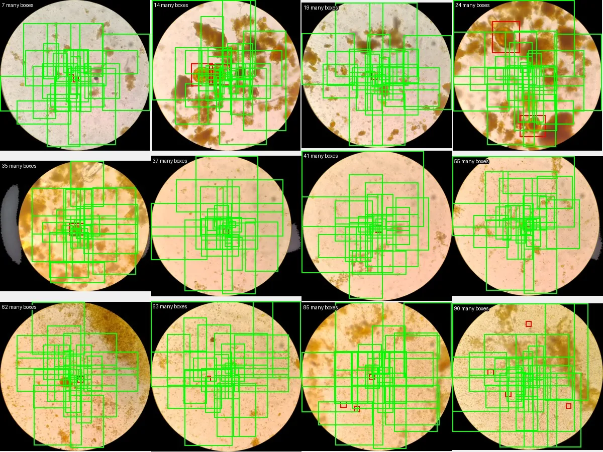 Microscope contact sheet with many candidate regions